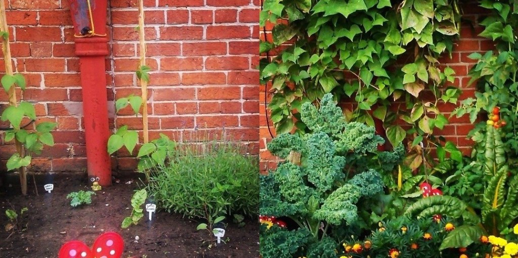 Garden Planning and Seed Buying (Feb.&nbsp;28/22)